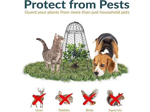 Sunnydaze Decor HB-0526 Plant Protector–6pk Black