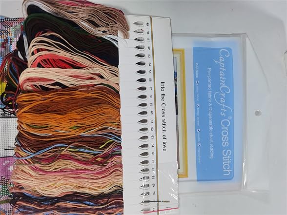 TAIDETON Stamped Cross Stitch Kit DIY Embroidery Kit