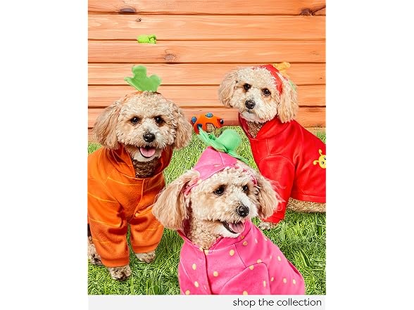 Rubies Strawberry Pet Hoodie Costume, XL