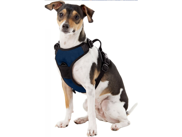 Littlearth NCAA BYU Cougars Front Clip Pet Harness