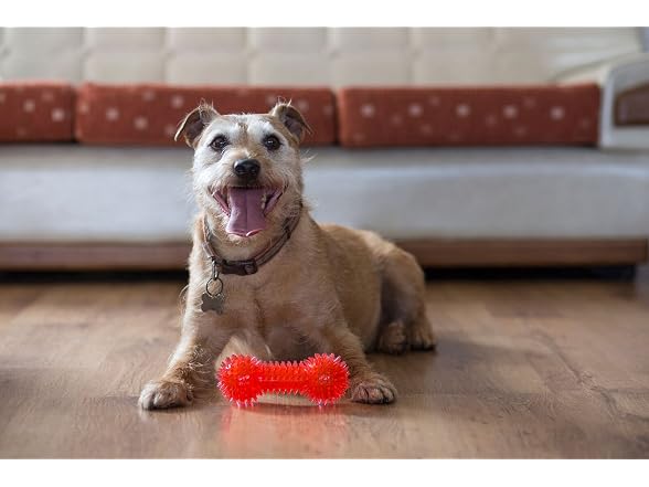 Gor Pets Flex Squeaky Dumbbell Dog Chew Toy D