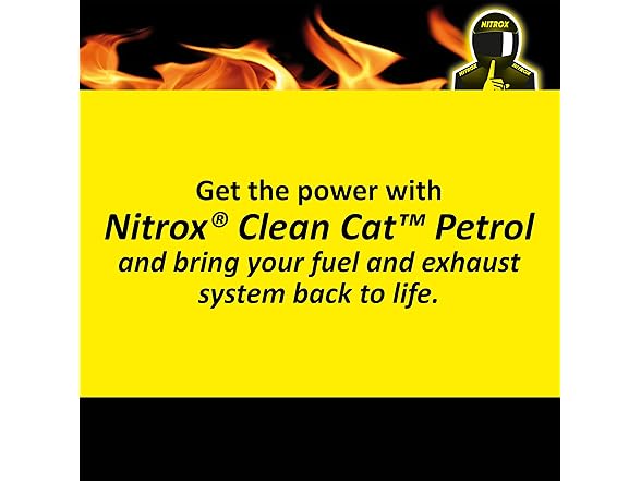 Catalytic Converter Cleaner 17oz 6pk