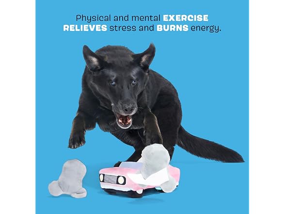 Barkbox Mister & Mouses Dog Toy | 3-in-1 Plush