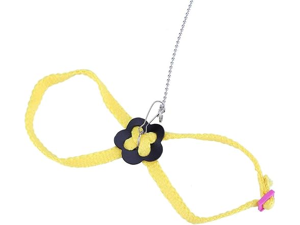 Bird Flying Rope, Bird Anti bite Outdoor Fly