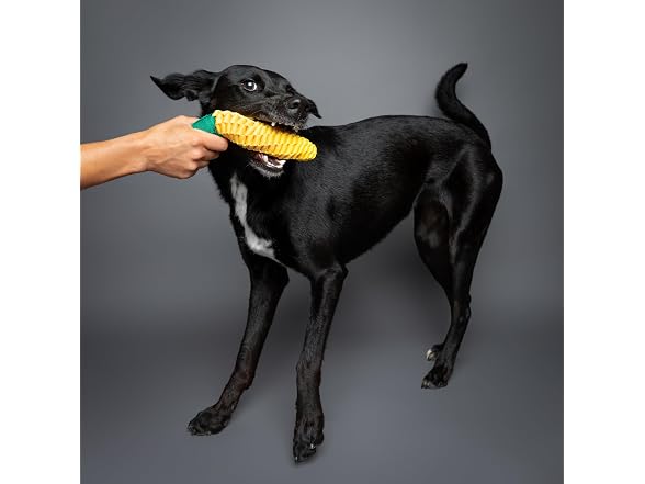NOAH & PAW Luxury Dog Toy, Corn