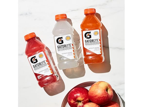 1CT Gatorlyte Rapid Rehydration Orange Electrolytes