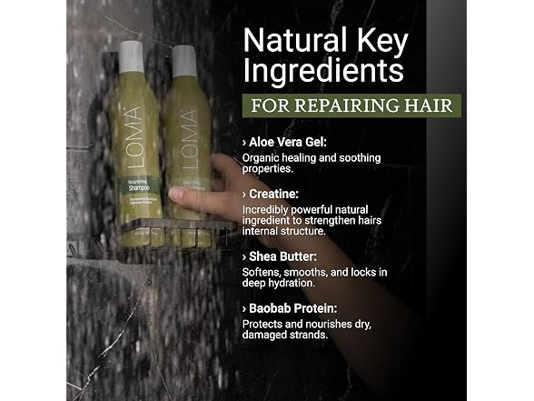 Shampoo, 12 oz & LOMA Nourishi