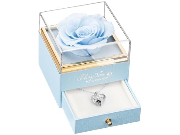 WILDLOVE Preserved Real Light Blue Rose