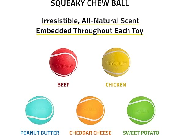 Playology Squeaky Chew Ball Dog Toy Chicken Scent