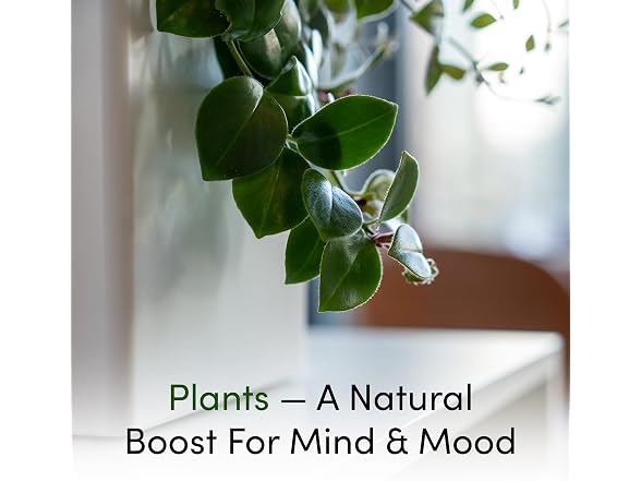 Tevatower Mini Smart Self-Watering Planter