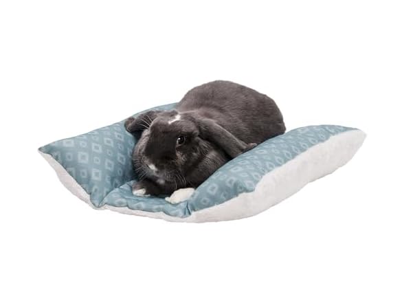 Furhaven Cat Bed - Aqua, Small