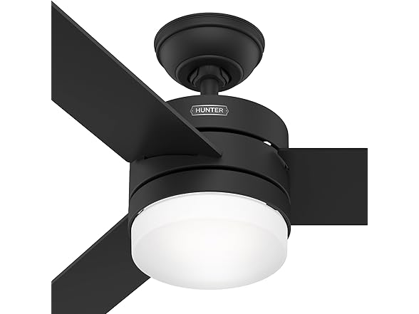 Hunter Fan 54" w/ Light Kit and Remote