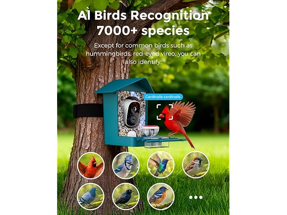 Devo Solar Smart Bird Feeder
