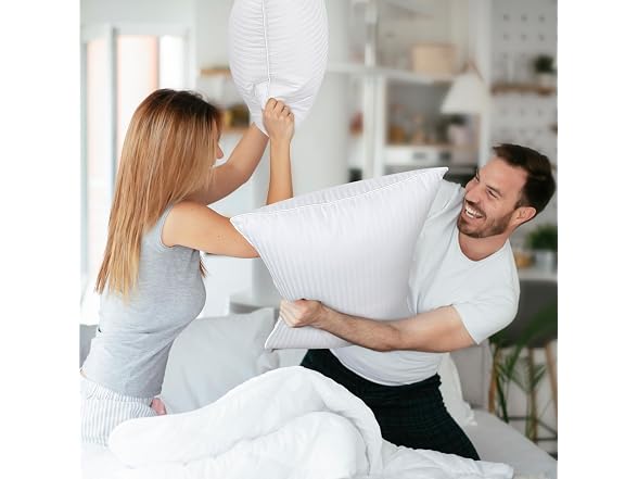 COZSINOOR Goose Down Feather Pillows