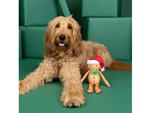Fringe Studio Pet Toy, Seasons Eatings!