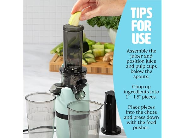 Tasty Slow Juicer, Aqua