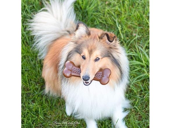 Pet Qwerks Flavorit BarkBone - Fillable Dog Bone