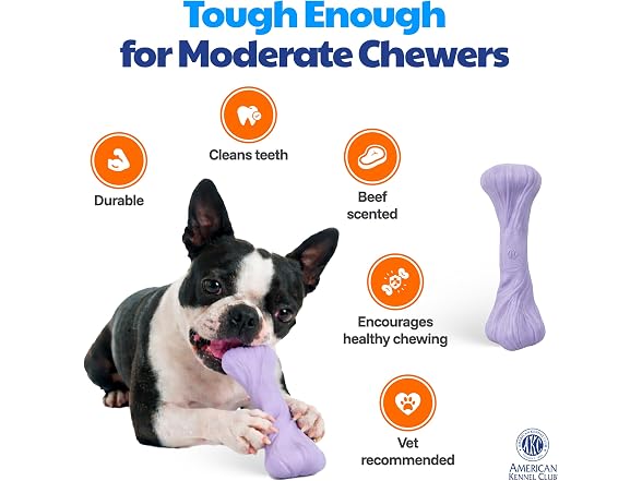 American Kennel Club Training Dog Chew Toy, Purple