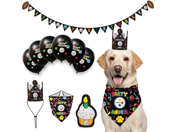 NFL Pittsburgh Steelers Pet Birthday Crown - Gallery 4