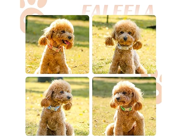 Faleela Dog Collar - Cute & Comfy Cotton Pet Collar