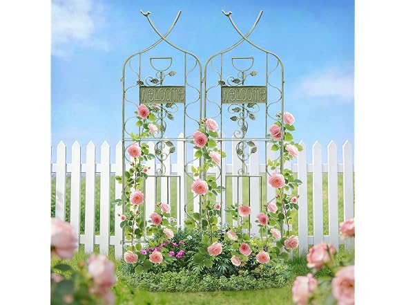 LZRS 2 Pack 59.5 * 18in Garden Trellis