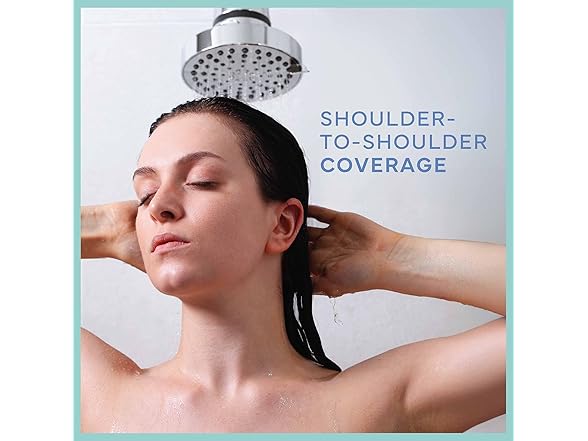 4-Setting Shower Head Brushed Nickel