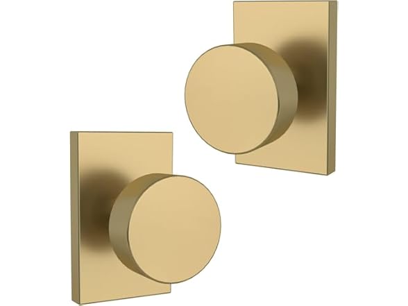 Satin Brass Dummy