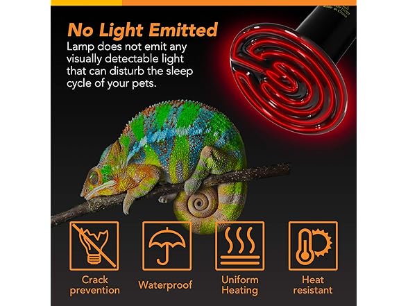 Simple Deluxe 100W 2-Pack Ceramic Reptil