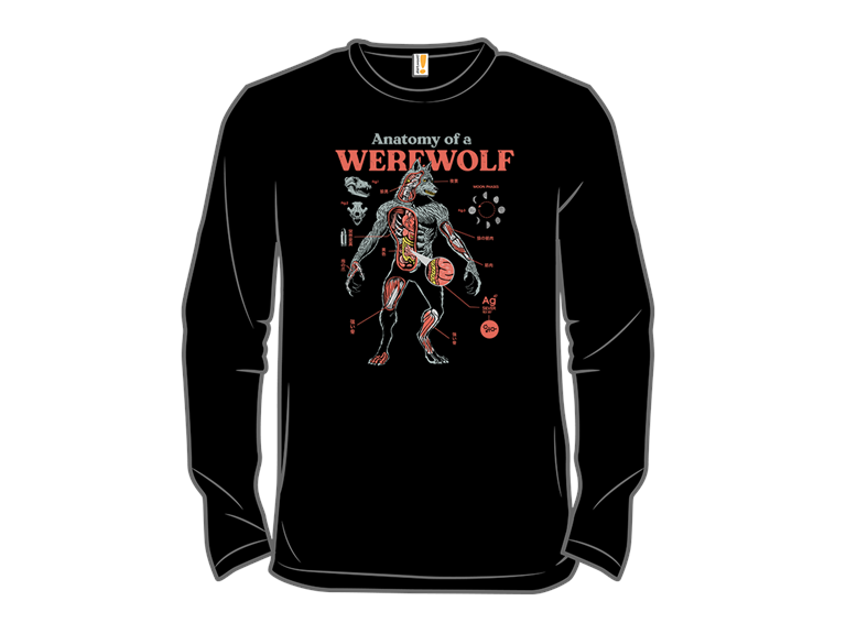 Werewolf Anatomy