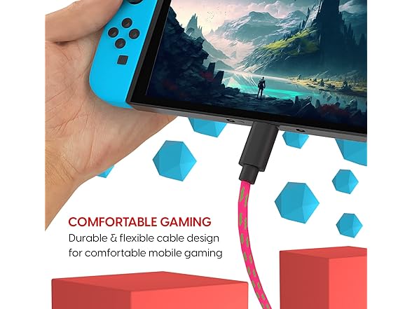 TalkWorks USB-C Charger Cable for Nintendo Switch