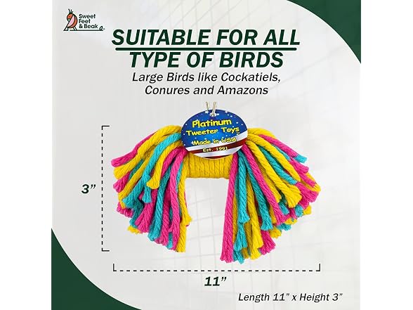 Sweet Feet and Beak Birdie Bow Tie, Large Co