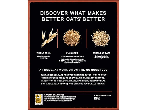 10CT Better Oats Maple and Brown Sugar Steel Cut Oatmeal