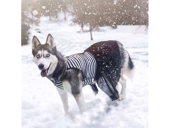 Midlee Elegant Black & White Stripe Tutu