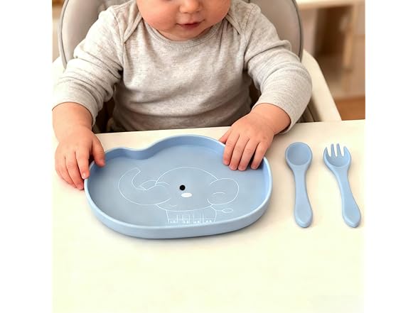 BabyX Baby Silicone Feeder Set