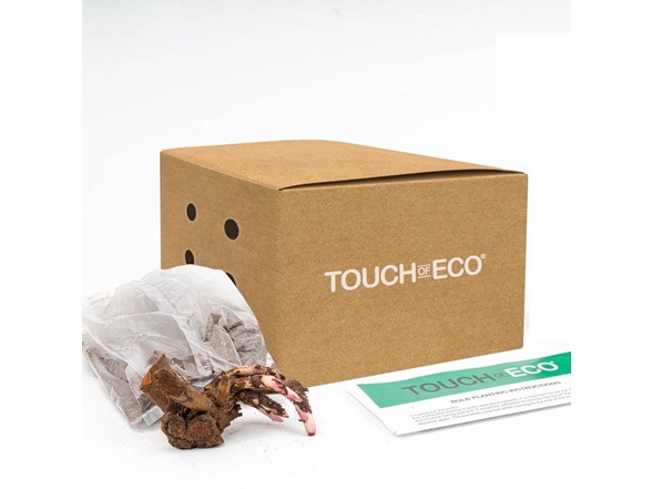 Mixed Peonies - 12 Bulbs and Tool