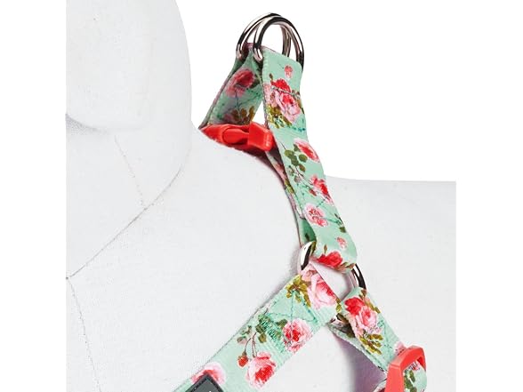 Blueberry Pet Essentials Step-in Spring Scen