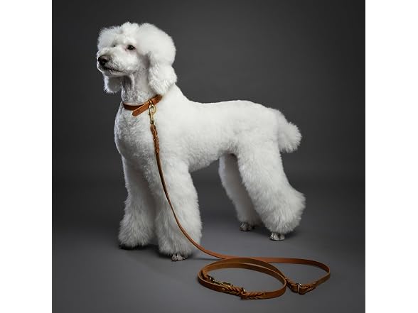 NOAH & PAW Leather Dog Leash