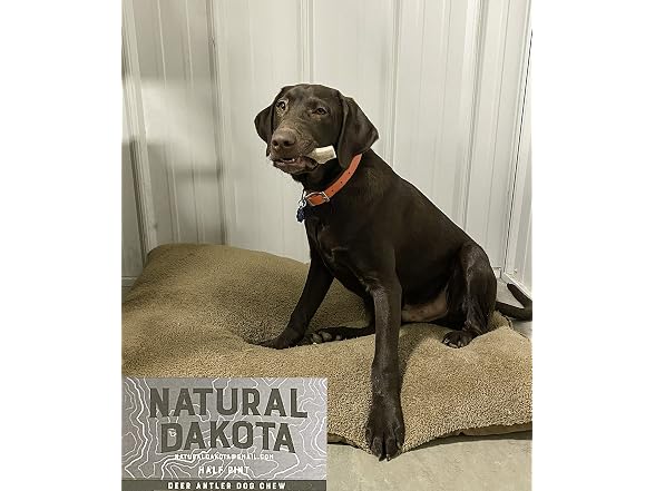 Premium Deer Antler Dog Chew Toys (Small) Ha