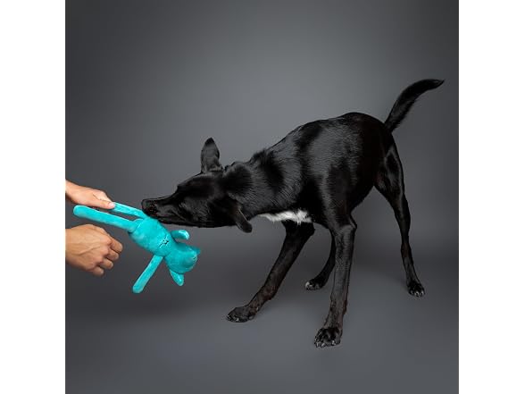 NOAH & PAW Luxury Dog Toy Basket Set