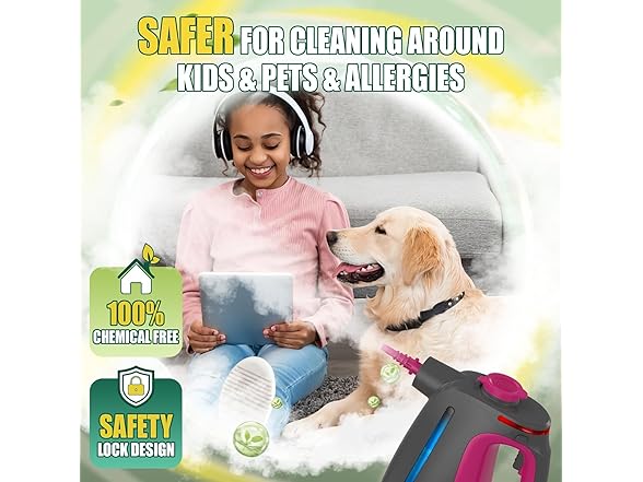 Heavy Duty Handheld Steam Cleaner