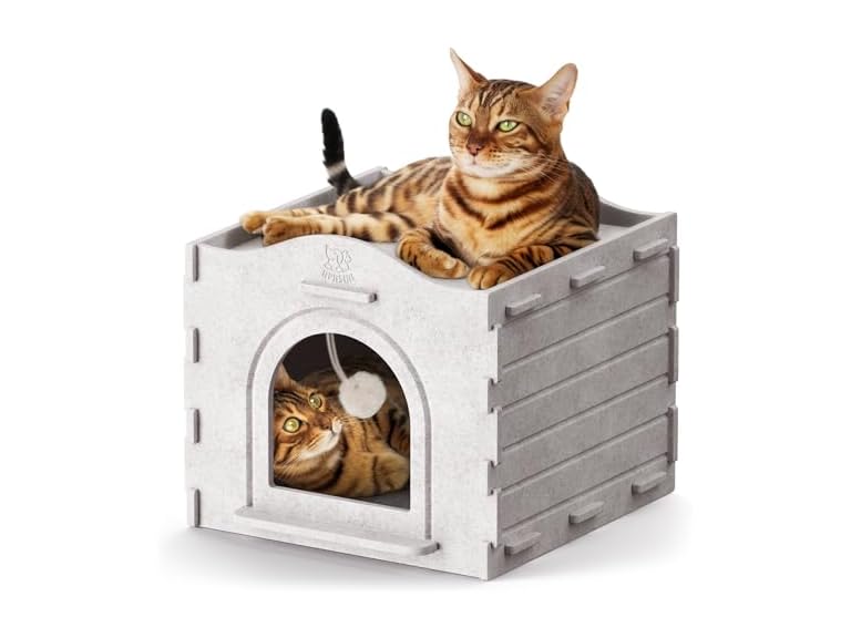 Apasiri BC075725100133 cat houses for indoor cats