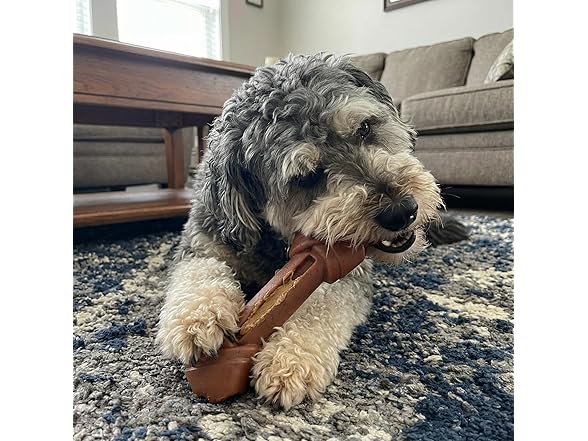 SPOT Bam-Bones Eco Knotted Bone, Beef Flavor