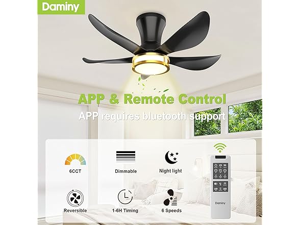 DAMINY Ceiling Fan with Light | 30In