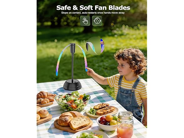 Edvision Rechargeable Table Fly Fan