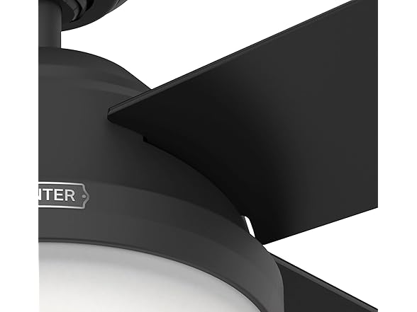 Hunter Fan 52" w/ Light Kit and Remote