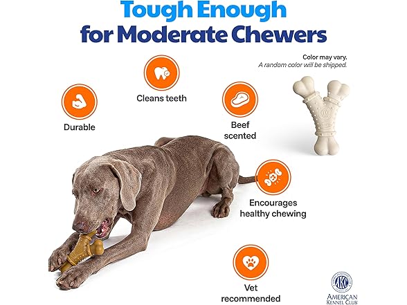 AKC Training Dog Chew Toy, Nylon Y-Shaped Bone