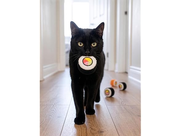 SPOT Sushi Roll Take-Out Cat Toys, Catnip