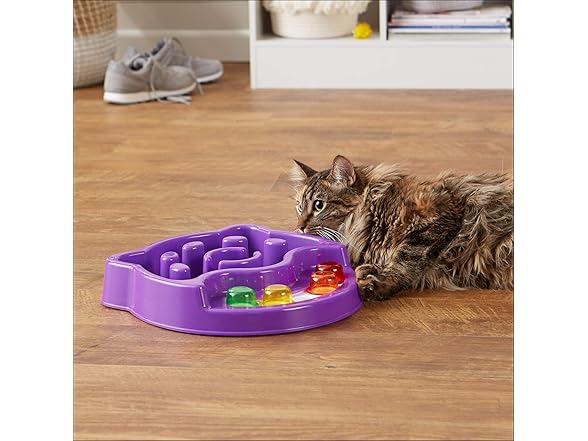 Amazon Basics Pet Activity Center and Feeder, Purple