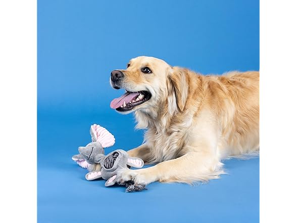 Fringe Studio Plush Dog Toy with Rope, Squeaky Rope
