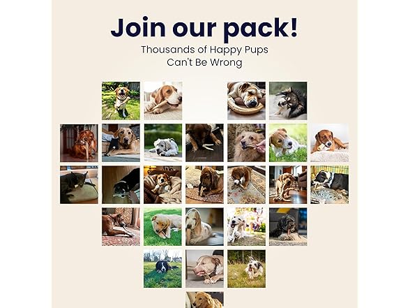 The Proper Hound Split Elk Antlers